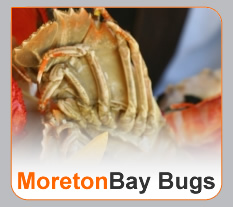 Moreton Bay Bugs